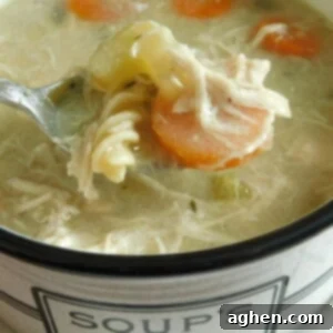 Delicious Low-Point Chicken Noodle Soup 2 Weight Watchers Chicken Noodle Soup