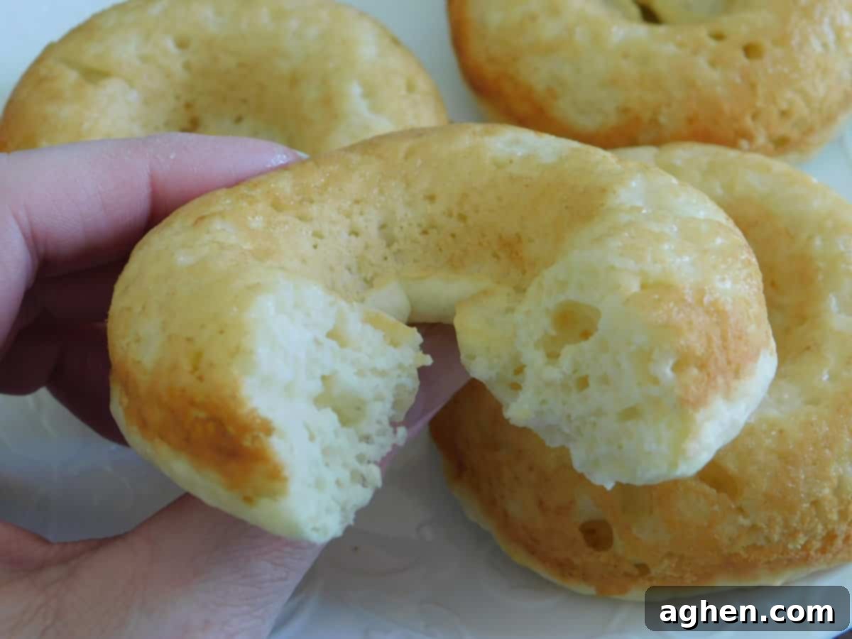 Rich and Tangy Doughnuts 2 A plate of freshly baked sour cream donuts