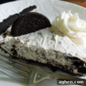 Mint Oreo Cheesecake 2 oreo cheesecake on white plate