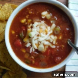 WW Chicken Taco Soup 4 bowl of weight watchers taco soup