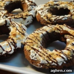Campfire Smores Donuts 2 Baked S'mores donuts topped with melted marshmallow, chocolate and graham cracker crumbs