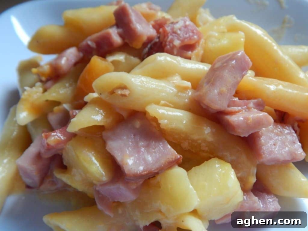 Island Paradise Pasta Bake 8 A close-up of a serving of the finished Hawaiian pasta bake, showing the gooey cheese, ham, pineapple, and perfectly toasted coconut flakes on top.