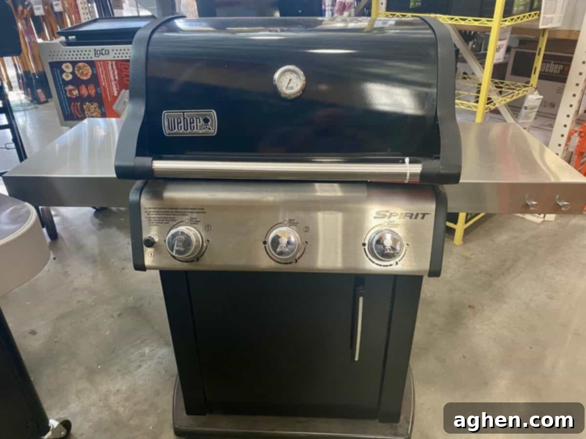 The 7 Best Weber Grills of 2024 Why Number 3 Changes Everything 1 weber spirit gas grill on display