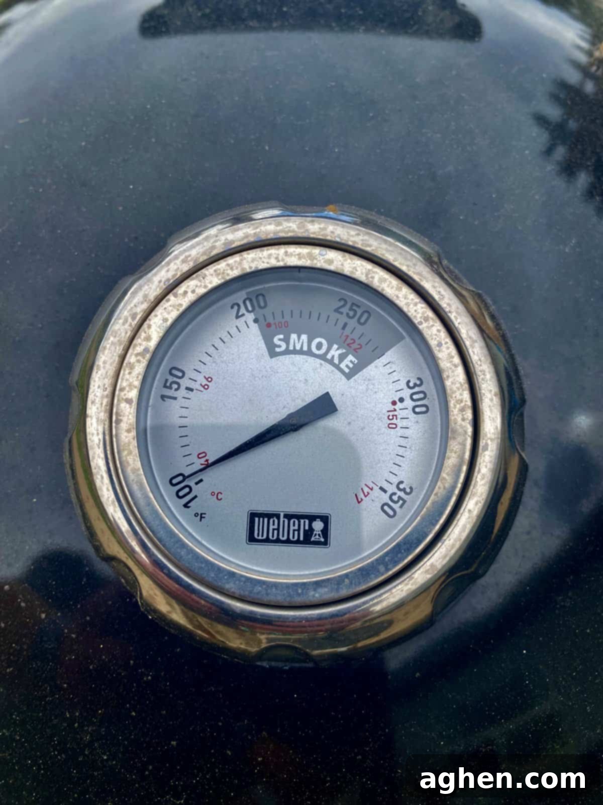 10 Things You Must Know Before Buying a Weber Smokey Mountain Smoker 4 Temperature gauge on a Weber Smokey Mountain smoker