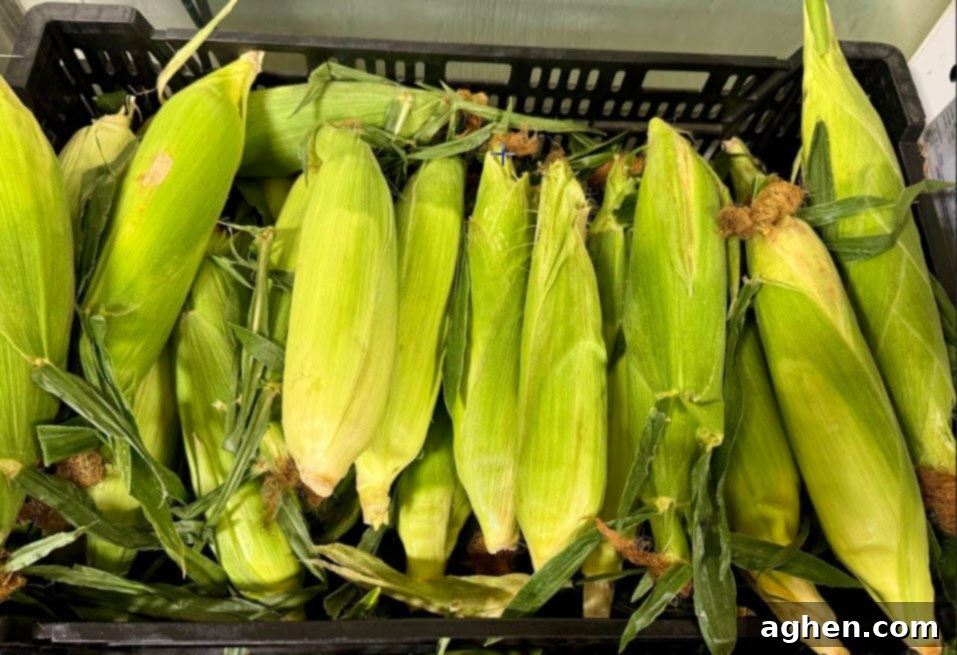 My Game-Changing Weber Grill Method for Unbeatable Summer Corn 2 Freshly smoked corn on the cob resting on a grill grates