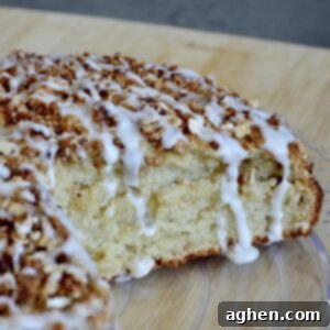 Weight Watchers Friendly Brown Sugar Oat Coffee Cake Perfection 8 Close up of a slice of healthy brown sugar oat coffee cake with a rich, crispy topping