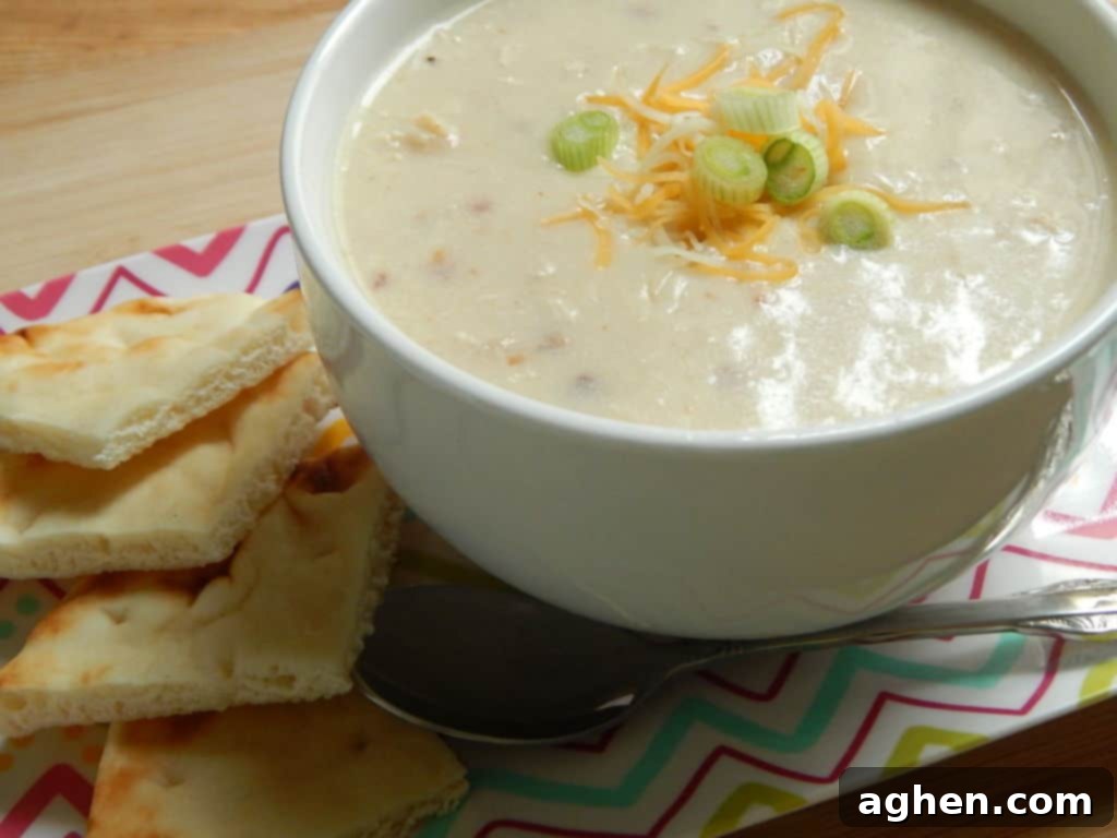Creamy Chicken Alfredo Soup 2 Delicious Chicken Alfredo Soup in a bowl