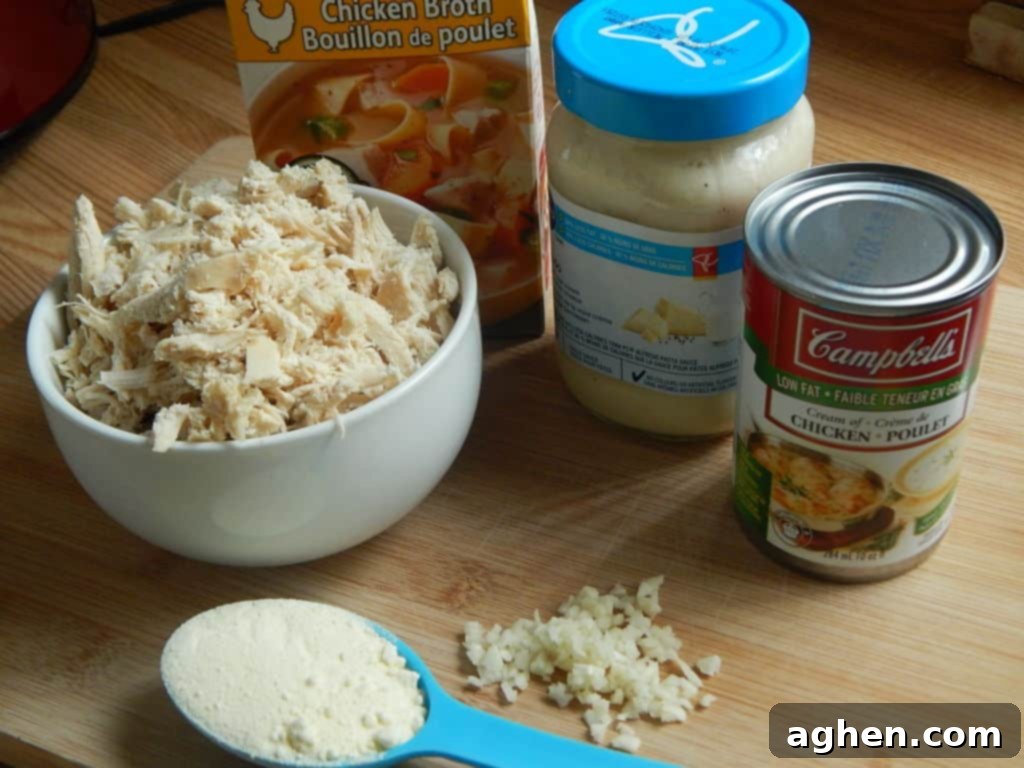 Creamy Chicken Alfredo Soup 5 Crockpot with Chicken Alfredo Soup ingredients