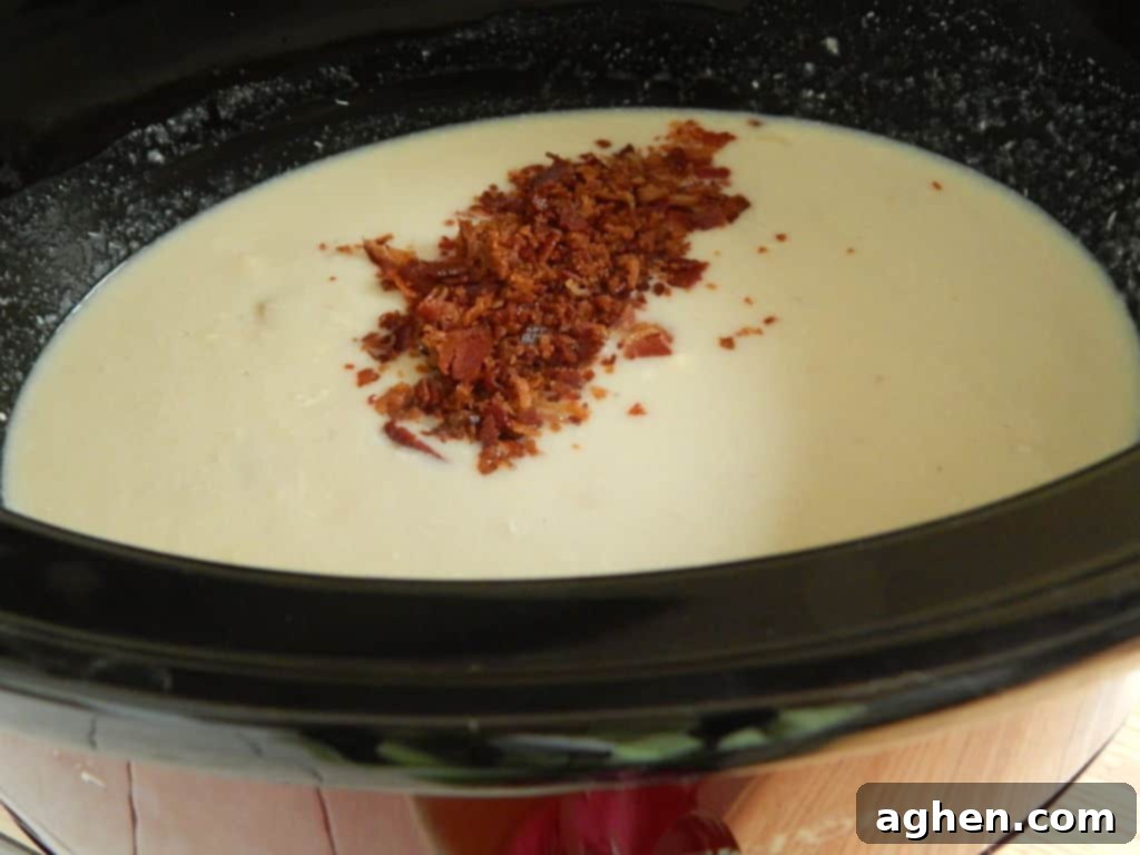 Creamy Chicken Alfredo Soup 7 Chicken Alfredo Soup served with garnishes