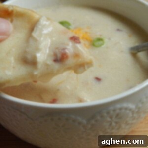 Creamy Chicken Alfredo Soup 10 img 5536 9