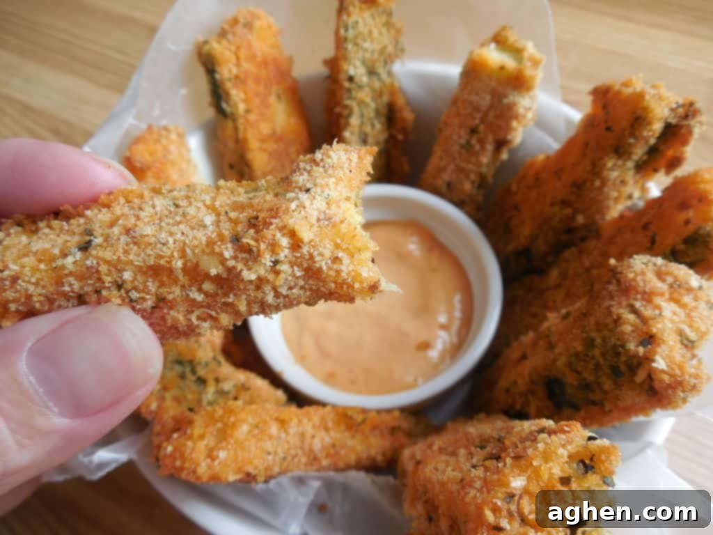 Kickin Ranch Zucchini Fries 2 Deliciously Crispy Spicy Ranch Zucchini Fries with dipping sauce