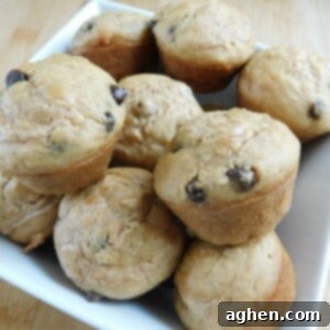 Bite-Sized Peanut Butter Chocolate Chip Muffins 2 mini peanut butter muffins with chocolate chips