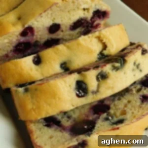 Zesty Blueberry Lemon Loaf 2 img 9118 6