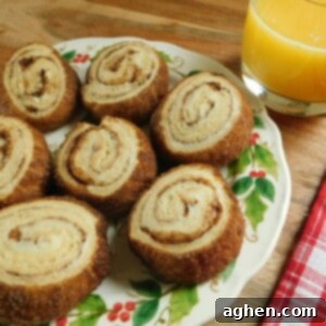 Sweet Swirls 2 ww cinnamon sugar cream cheese pinwheels